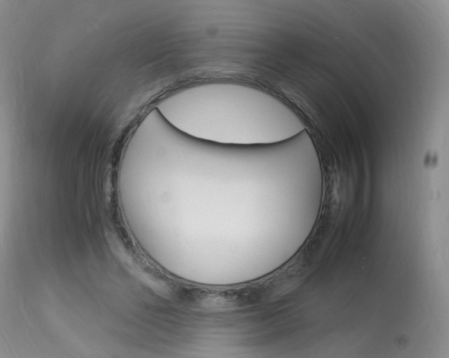 X0000113950494200909251006