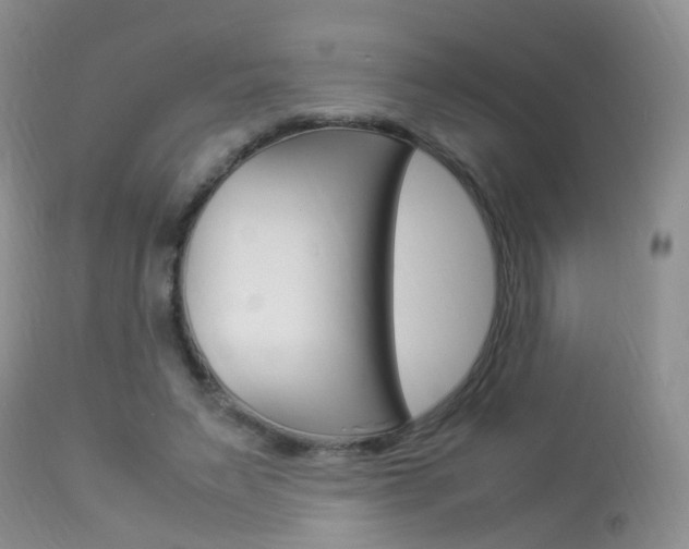 X0000113950495200909251006