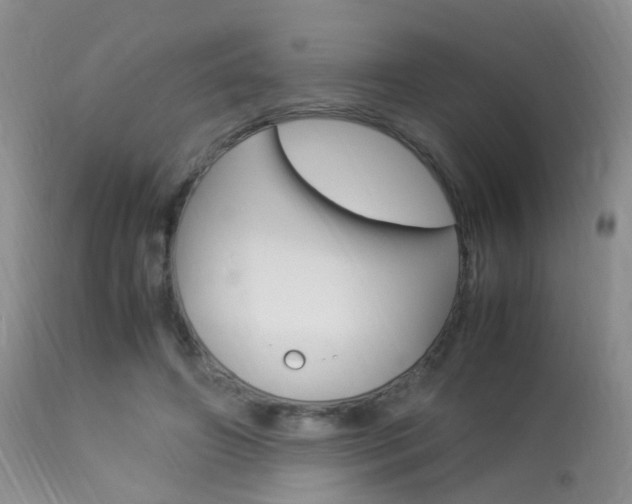 X0000113950498200909251006