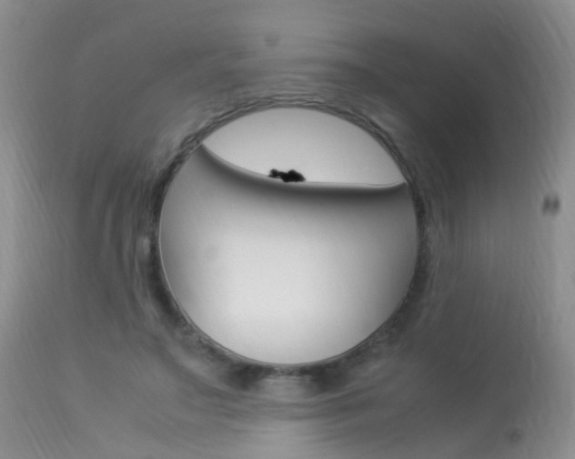 X0000113950499200909251006