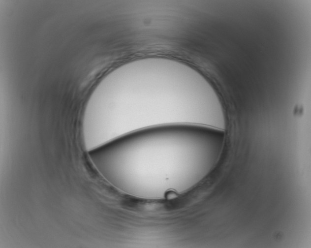 X0000113950501200909251006