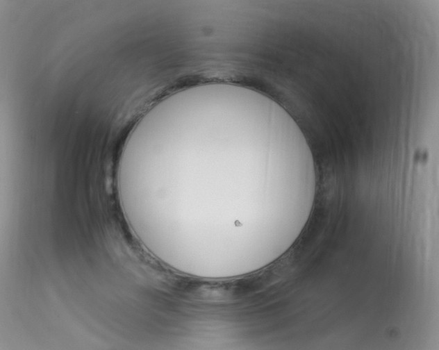 X0000113950502200909251006