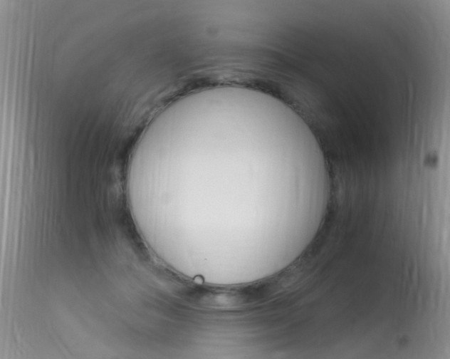 X0000113950506200909251006