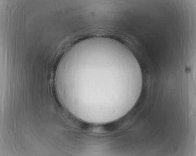 X0000113950507200909251006