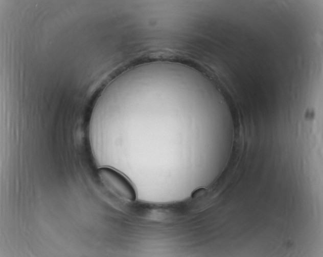 X0000113950508200909251006