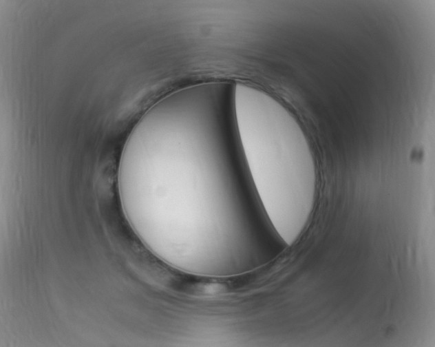 X0000113950509200909251006