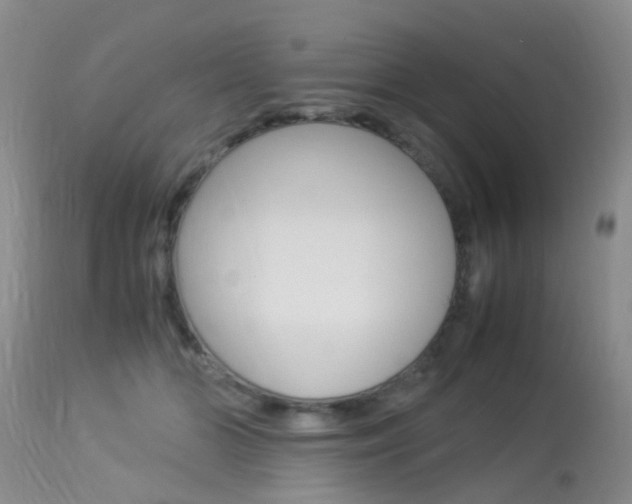 X0000113950510200909251006