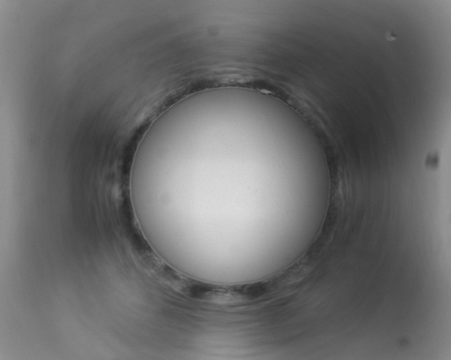 X0000113950512200909251006