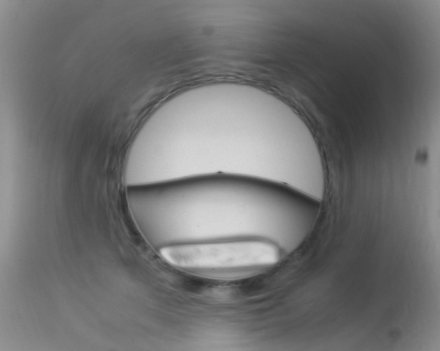 X0000113950513200909251006