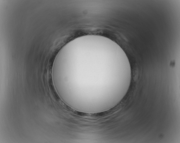 X0000113950515200909251006