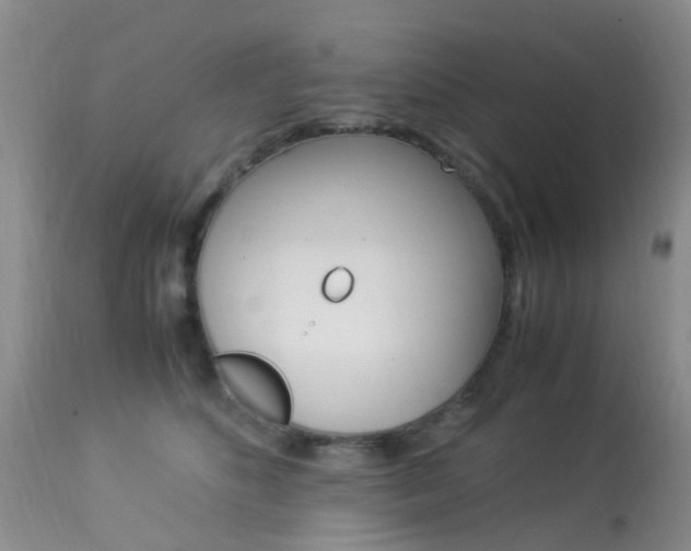 X0000113950516200909251006