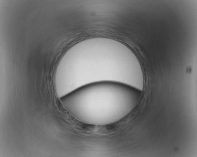 X0000113950517200909251006