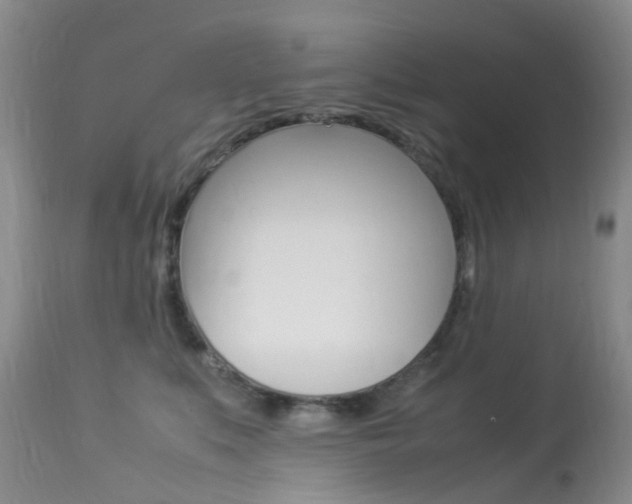 X0000113950519200909251006