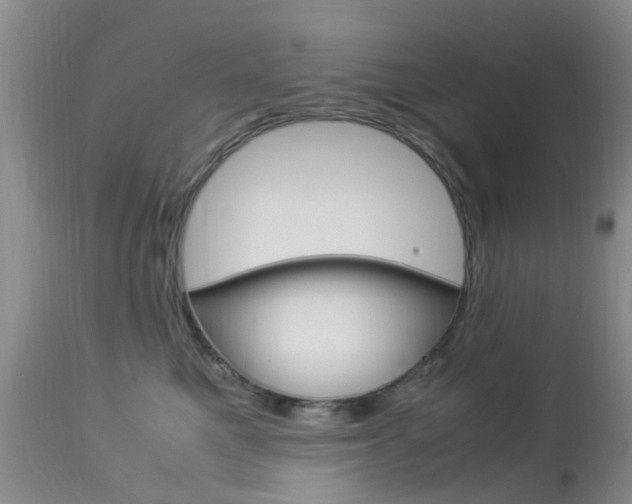 X0000113950521200909251006