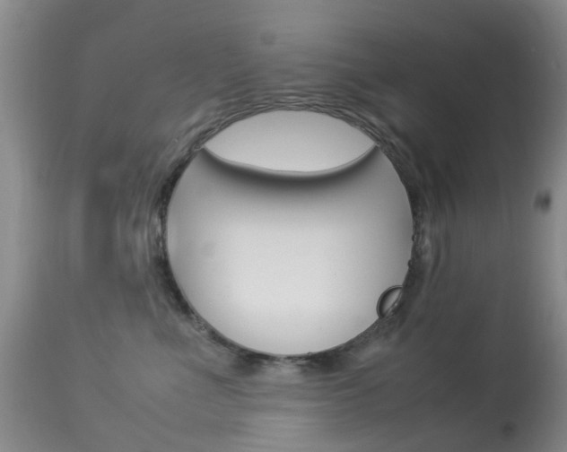 X0000113950523200909251006