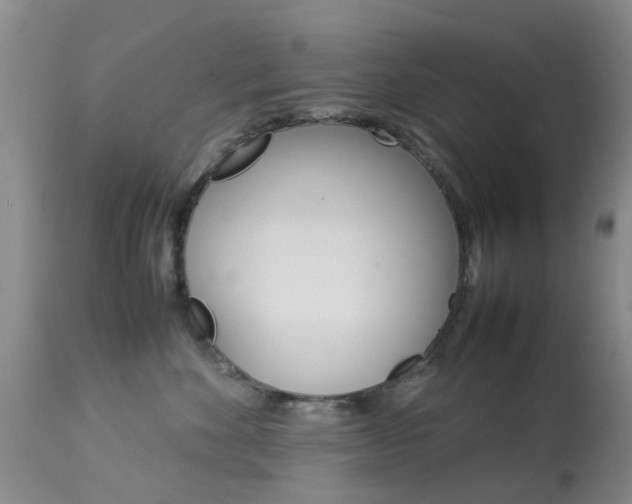 X0000113950524200909251006