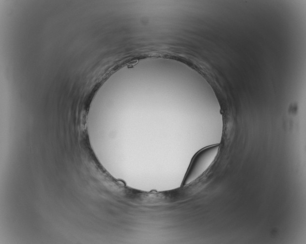 X0000113950525200909251006