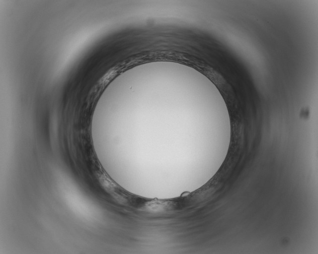 X0000113950526200909251006