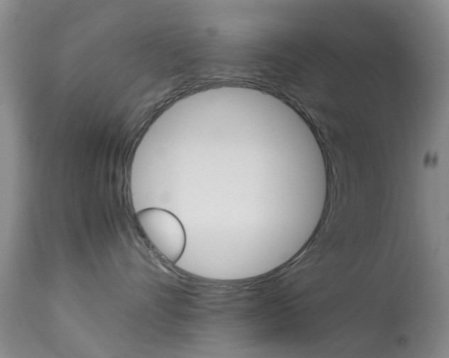 X0000113950528200909251006