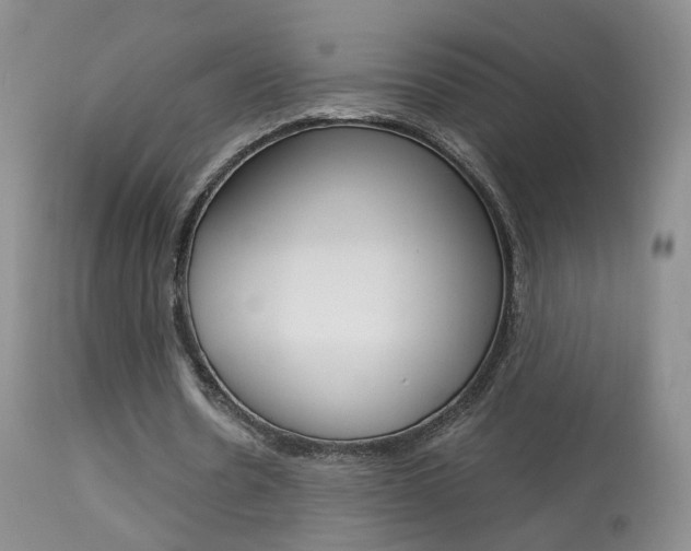 X0000113950530200909251005