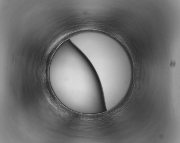 X0000113950531200909251005