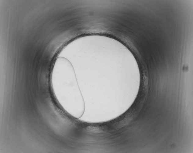 X0000113950534200909251005