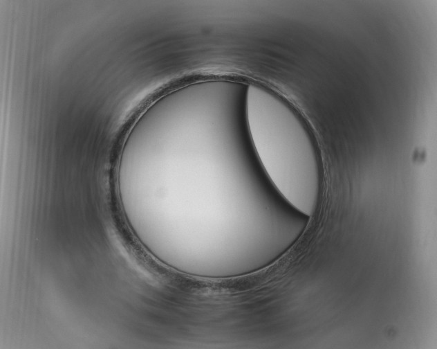 X0000113950535200909251005