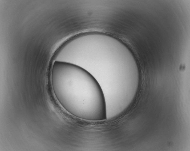 X0000113950536200909251005