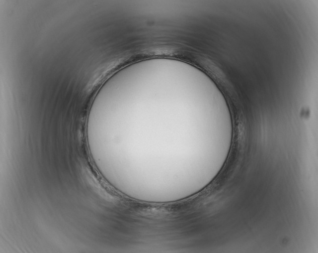 X0000113950537200909251005
