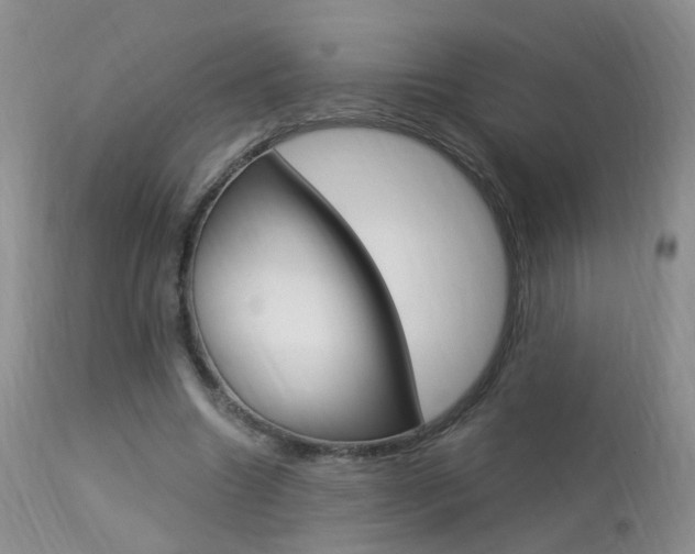 X0000113950538200909251005