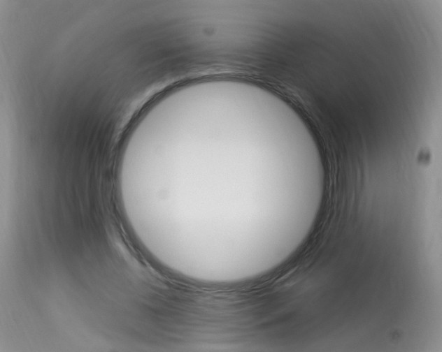 X0000113950540200909251005