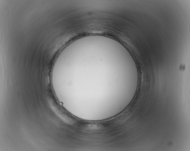 X0000113950541200909251005