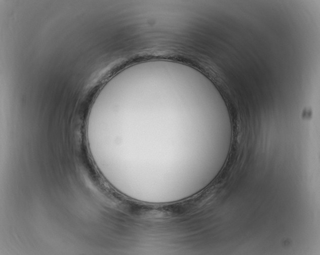 X0000113950542200909251005