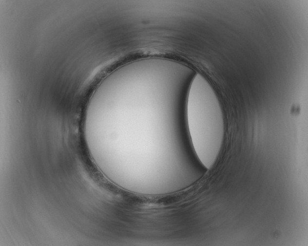 X0000113950543200909251005