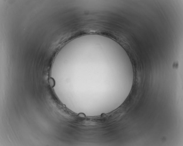 X0000113950545200909251005