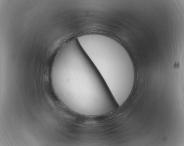 X0000113950547200909251005