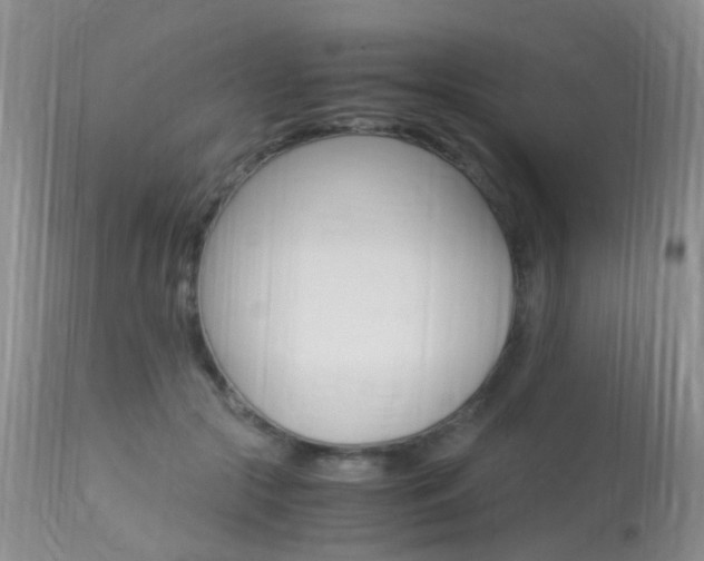 X0000113950553200909251006