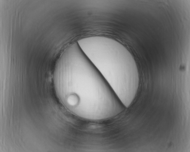 X0000113950555200909251006