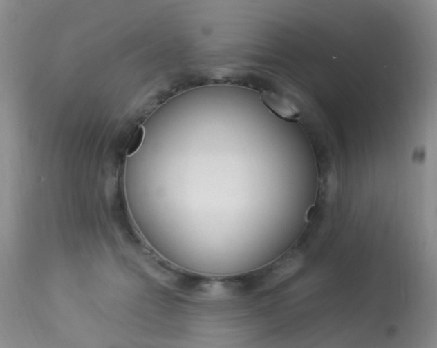 X0000113950558200909251006