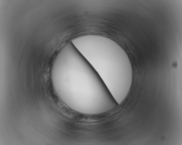 X0000113950559200909251006