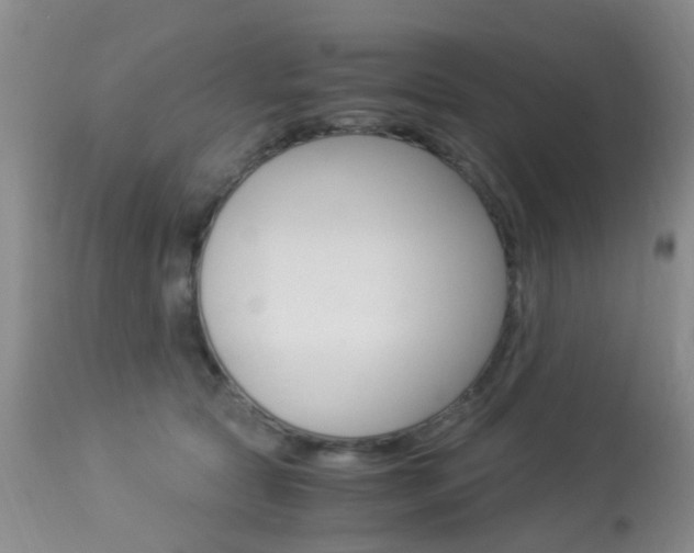 X0000113950561200909251006