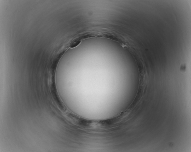 X0000113950562200909251006