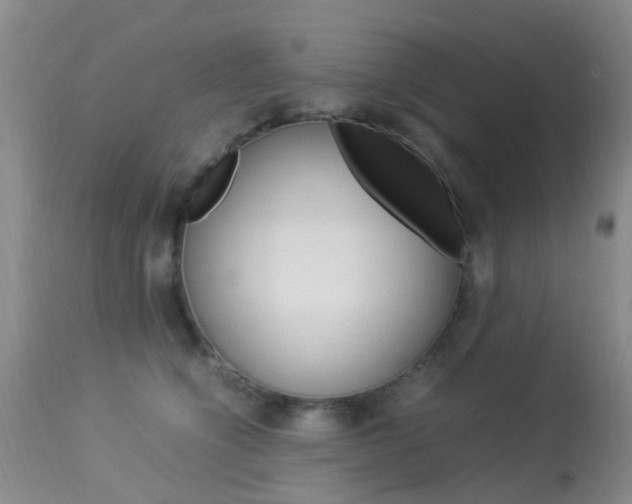 X0000113950564200909251006