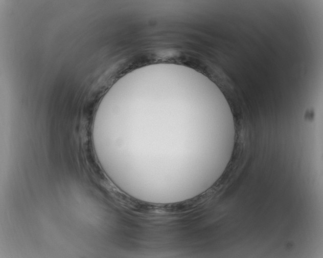 X0000113950565200909251006