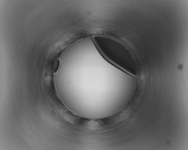 X0000113950566200909251006