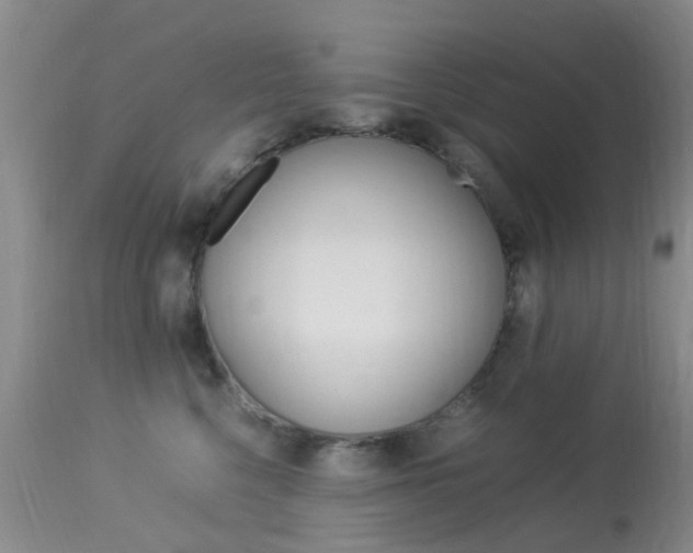 X0000113950568200909251006