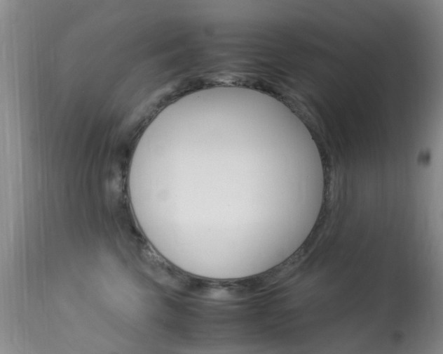 X0000113950569200909251006