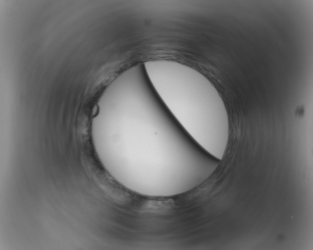 X0000113950571200909251006