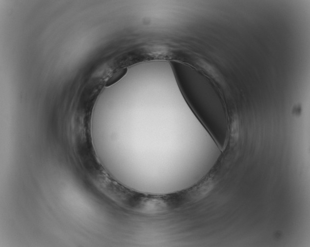 X0000113950572200909251006