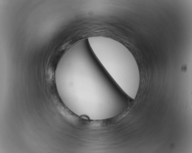 X0000113950574200909251006